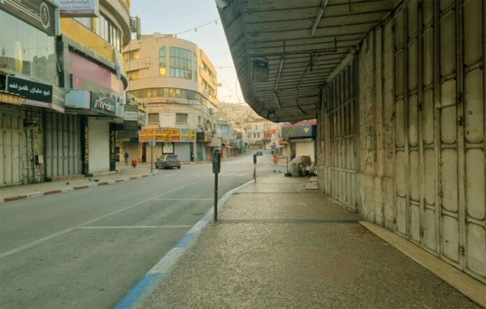 جنين